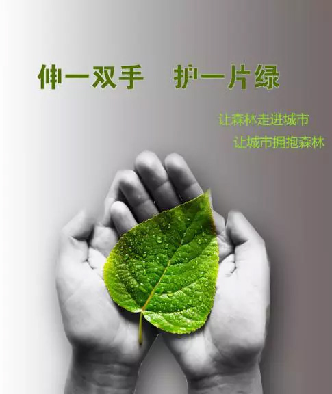 参加社会公益活动的意义和价值是什么？